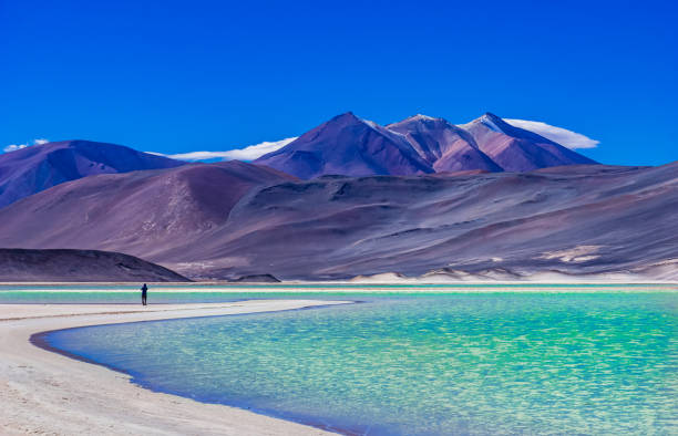 Laguna Salar de Talar with the Andes Mountain, San Pedro de Atacama, Antofagasta Region, Chile stock photo