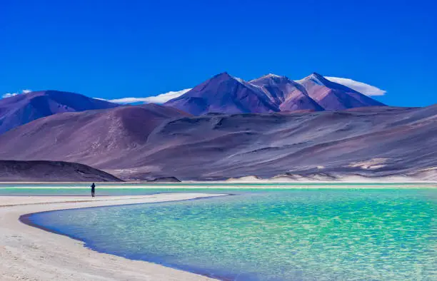 View on Laguna Salar de Talar with the Andes Mountain, San Pedro de Atacama, Antofagasta Region, Chile