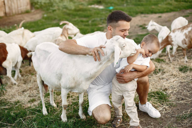 istock Family spending time together outside with a goat 1339334735