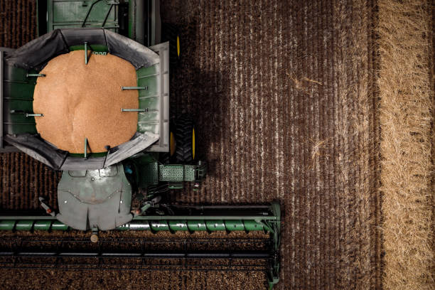 John Deere S670 Combine in Wheat stock photo