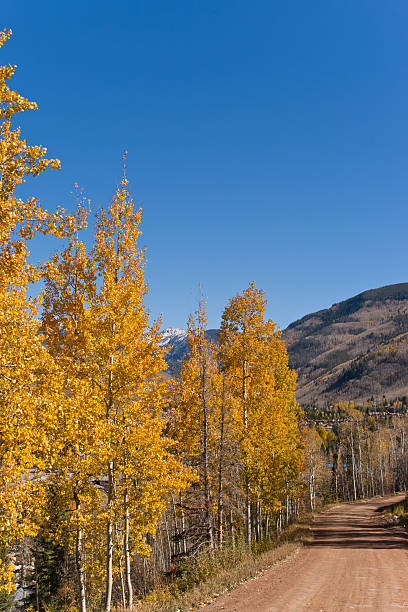 istock Dirt Road in Autumn 133933786