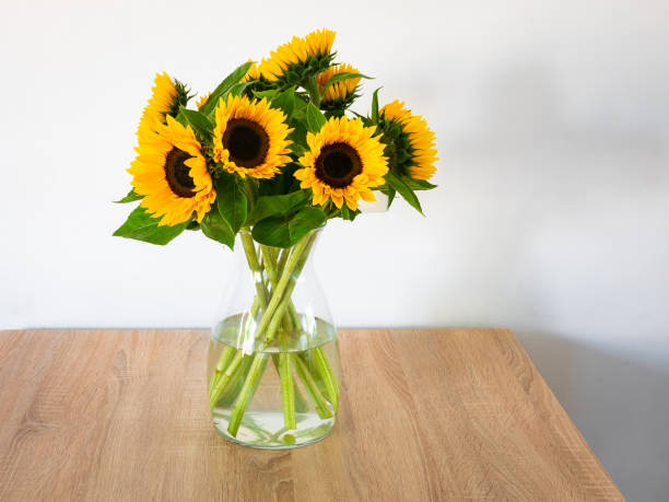 istock Vibrant yellow colored sunflowers 1339339360