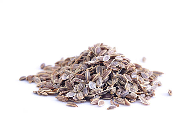 istock Pile of Dill 133933945