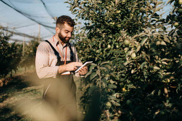 istock Young Farmer on his farm 1339341026