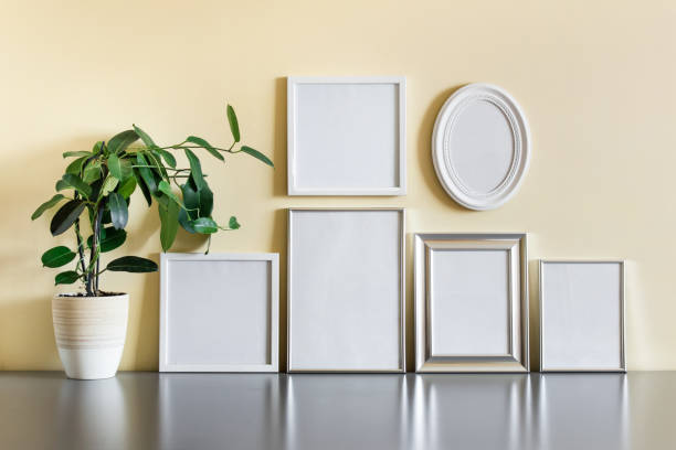 Collection of six blank frames standing on reflective surface with potted plant Collection of six blank frames standing on reflective surface with potted plant. number 6 photos stock pictures, royalty-free photos & images