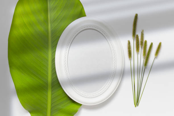 istock Composition with round oval white blank wooden frame laying on green leaf with green field plants and shadow overlay 1339341130