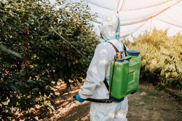 il lavoratore agricolo si prende cura della sua proprietà - spraying agriculture farm herbicide foto e immagini stock