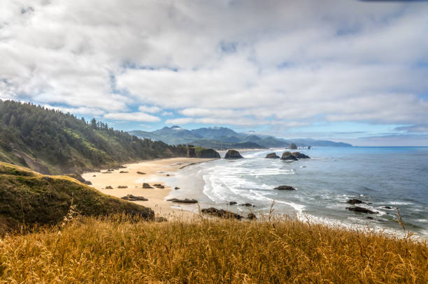 istock Waves rolling on Canon beach on the West Coast, Ecola State Park 1339346827