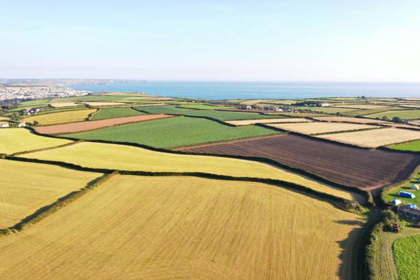 Aerial view of patchwork fields stretching to the ocean on a summer day