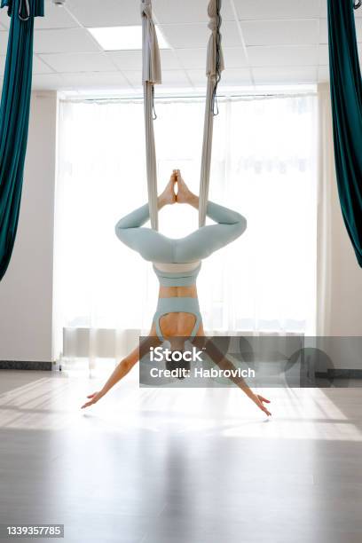Beautiful Young Woman Hanging Upside Down By Hammock For Doing Pose Of Antigravity Yoga In Light Yoga Studio Stock Photo - Download Image Now