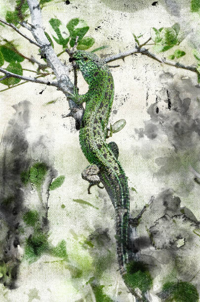 lucertola verde in agguato su un ramo di un albero. una caccia ai rettili nel - claw rainforest outdoors close up foto e immagini stock