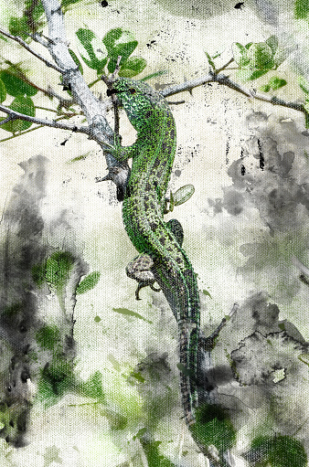 Green lizard lurking on a tree branch. A reptile hunting in the woods. Animal life in its natural habitat. Digital watercolor painting