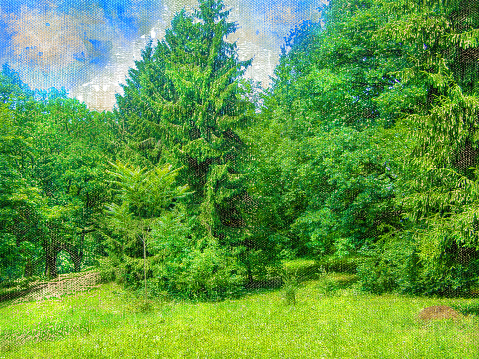 Green forest against the blue summer sky. Tall trees of oaks and firs. Summertime. Digital watercolor painting