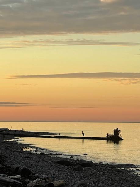 istock Sunrise at Roberts Creek Beach 1339364016
