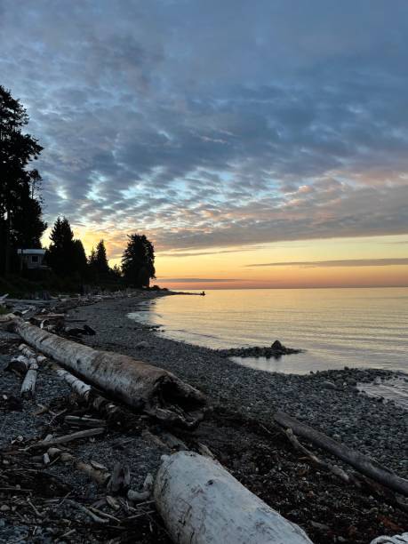 istock Sunrise at Roberts Creek Beach 1339364051