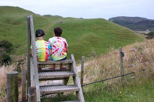 Rural Children Wearing Tie Dye T-shirts on a Stile over a Fence Rural children wearing tie dye T-shirts sit on a stile over a fence on an overcast day. life stile stock pictures, royalty-free photos & images