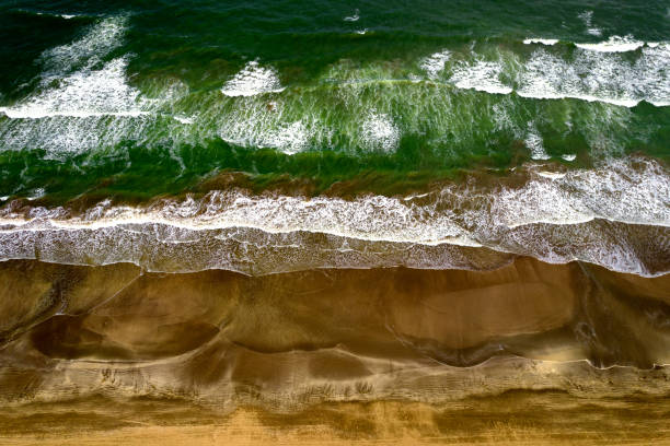 istock The dance between the sea and the sand 1339372624