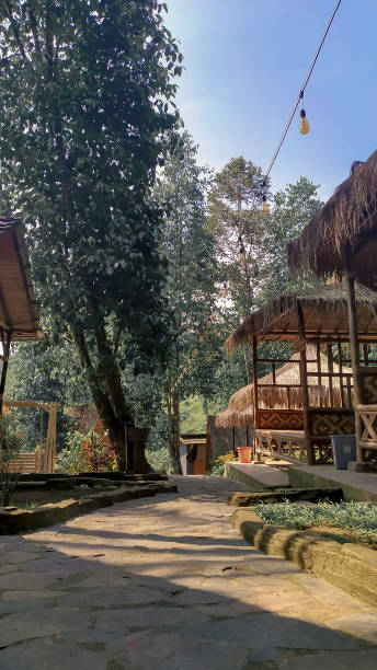 istock low angle view of the hut in nature 1339373590