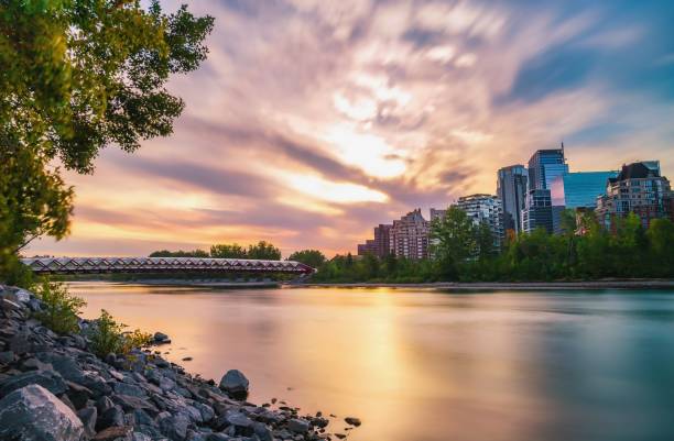 Long Exposure Sunrise By The Peace Bridge A long exposure view at sunrise of the Peace bridge and Bow river in Calgary. bow river stock pictures, royalty-free photos & images