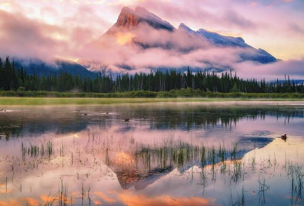 istock Cloudy Summer Sunrise At Vermilion Lakes 1339376104