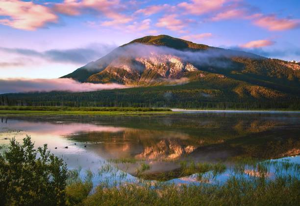 istock Bright Morning At Vermilion Lakes 1339376180