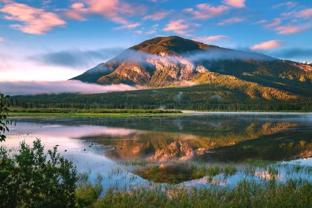 istock Bright Morning At Vermilion Lakes 1339376189