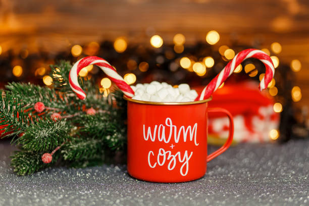 istock Gourmet hot chocolate milk. Hot chocolate with marshmallows. 1339376300