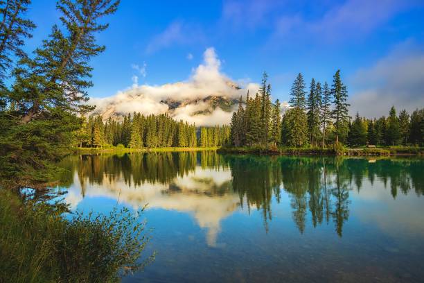 istock Mountain Reflections On The Bow River In Banff 1339376372