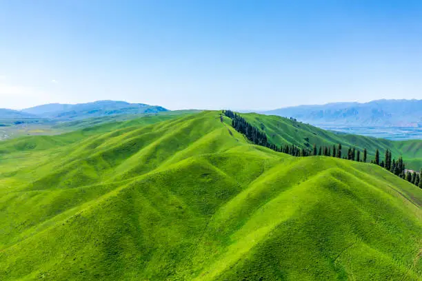 Photo of Green grassland and mountain natural landscape in Nalati grassland,Xinjiang,China.