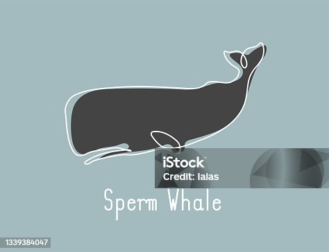 istock Single continuous line drawing of sperm whale for marine company logo identity. 1339384047