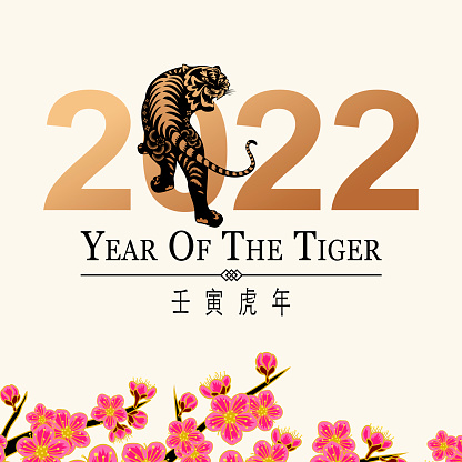 Greeting for the Chinese New Year of the Tiger 2022 with paper art tiger and gold colored 2022 on plum blossom tree background, the Chinese phrase means Year of the Tiger according to lunar calendar