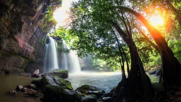 grotta nella cascata di heo suwat nel parco nazionale di khao yai in thailandia - parco nazionale di khao sok foto e immagini stock