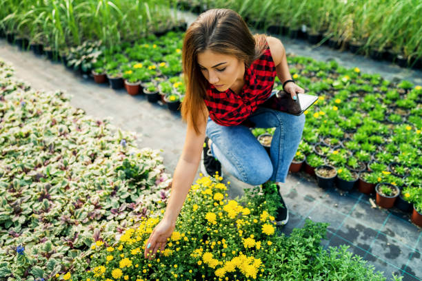 istock In the flower greenhouse 1339390599