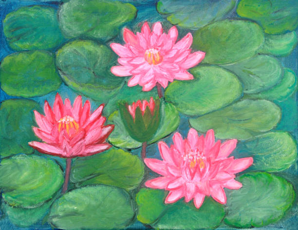 staw lilii wodnych - water lily obrazy stock illustrations