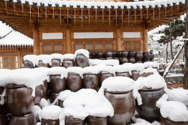 hanok y jangdokdae tradicionales en la entrada de gochang-eupseong (fortaleza de momseong), gochang-gun - gun turret fotografías e imágenes de stock