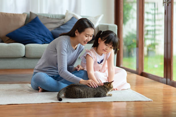 istock Asian mom and daughter playing with cute cat 1339393673