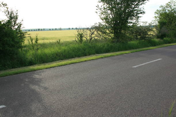 istock a long road by the river 1339394761