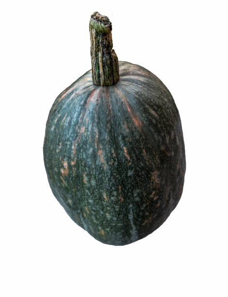istock realistic pumpkin isolated on white background close up, halloween symbol 1339399875