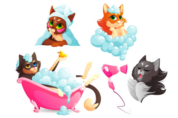 ilustraciones, imágenes clip art, dibujos animados e iconos de stock de servicio de spa y aseo para gatos o perros, higiene - grooming