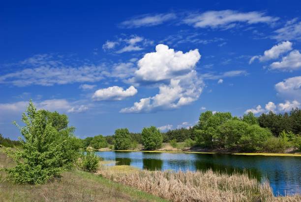 istock beautiful river by a summer day 1339407455