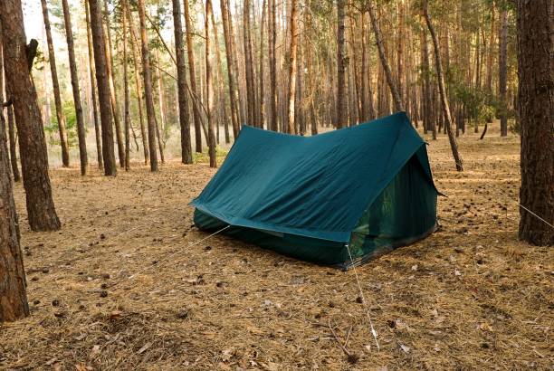 istock morning in a hike 1339407646