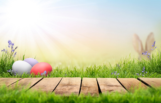 A wooden product display top with an Easter background of painted eggs, rabbit ears, green grass and meadows.