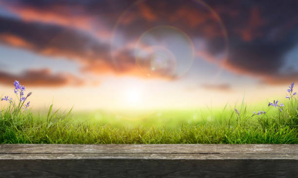 istock A wooden table top product display with a sunny summer sunset 1339407725