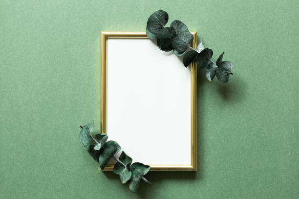 istock Empty photo frame with eucalyptus leaf on green background. top view, copy space 1339409759
