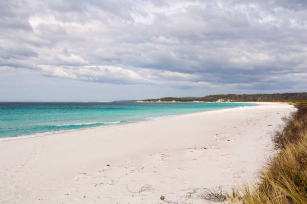 istock Sandy beach - Taylors Beach 1339410641