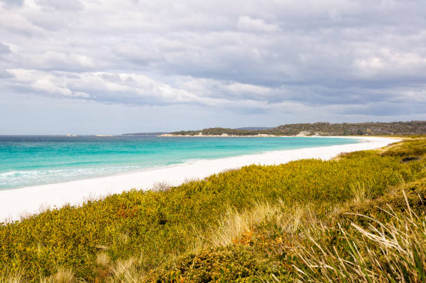 istock Sandy beach - Taylors Beach 1339410747