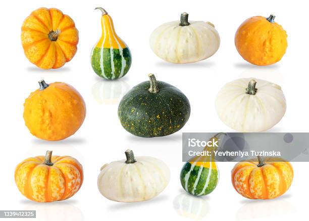 Pumpkins Collections Stock Photo - Download Image Now - Agriculture, Autumn, Celebration