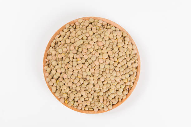 istock raw lentil culinaris beans isolated on white background 1339413828