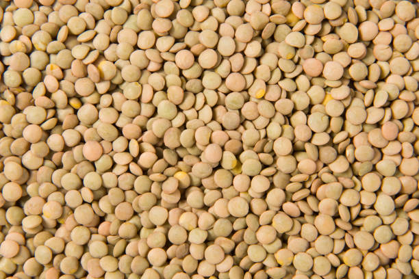 istock raw lentil culinaris beans textured background 1339413966