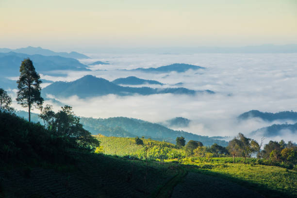 туманные горы - mae hong son province стоковые фото и изображения